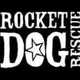 Rocket Dog Rescue